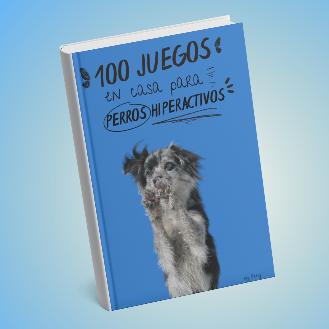 Ebook 100 juegos en casa para perros hiperactivos