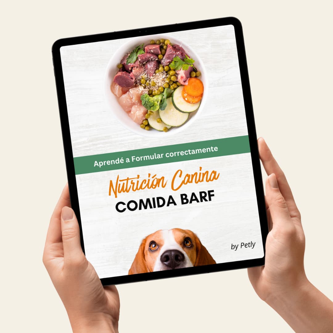 Guía completa BARF alimentación cruda