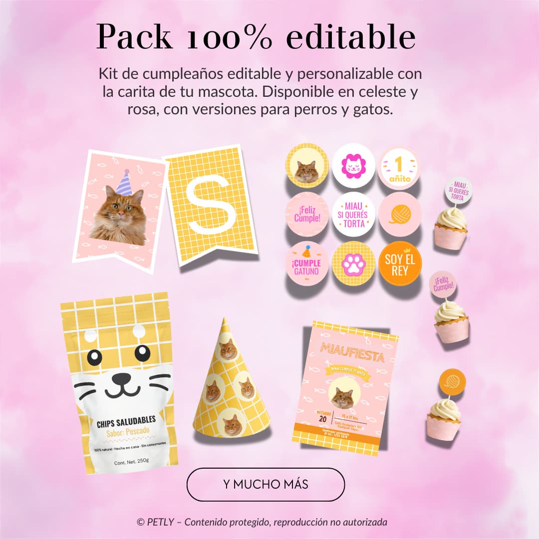 Kit cumple PET