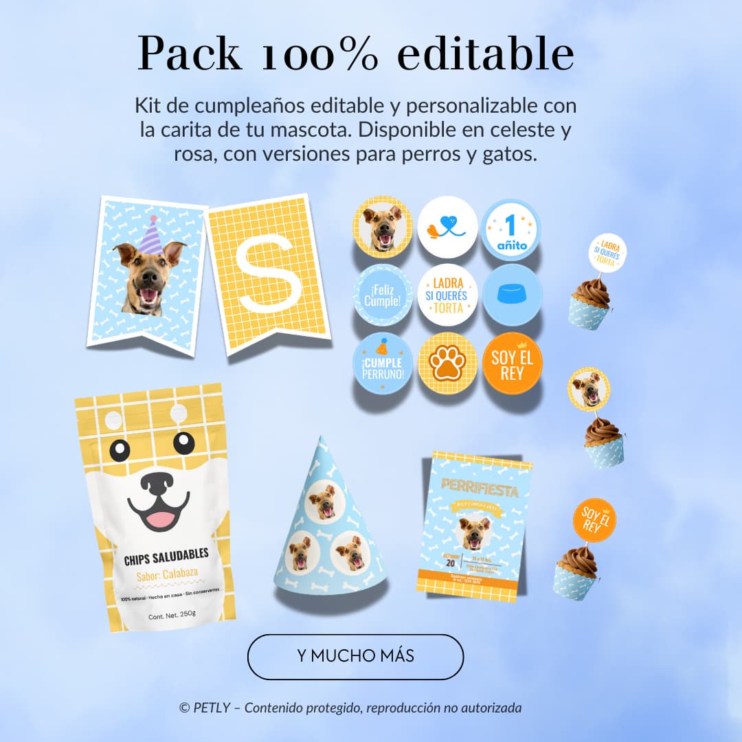 Kit cumple PET