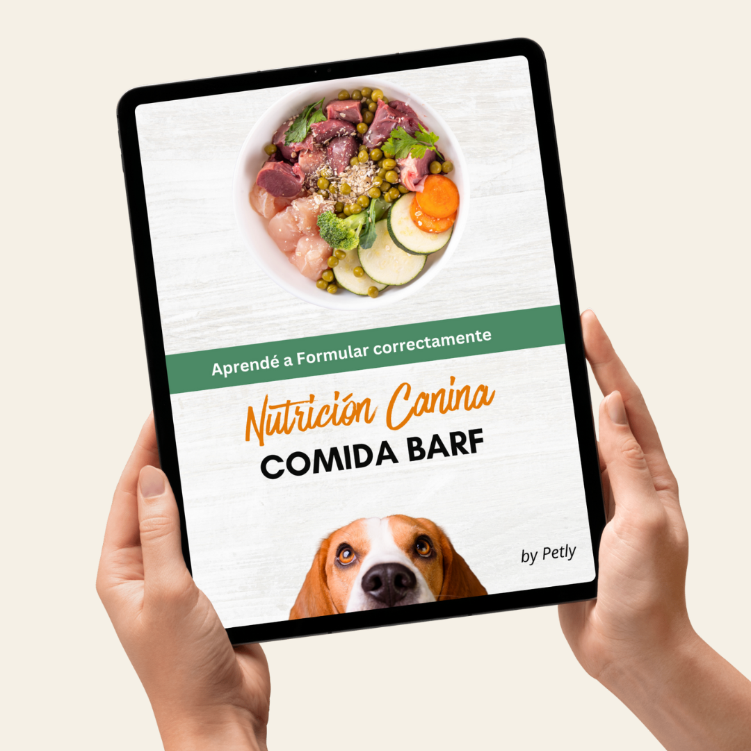 Guía completa BARF alimentación cruda