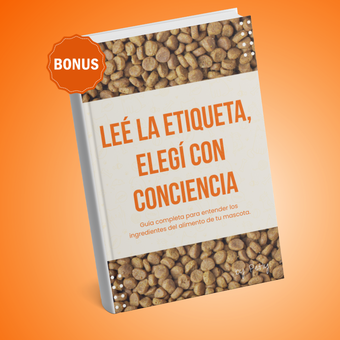 Curso de pastelería canina y snacks saludables